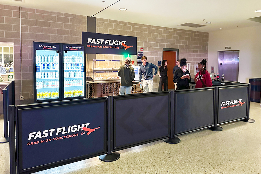 Super Bowl-Sized Crowds: A Day in the Life of Stadium Queuing Systems